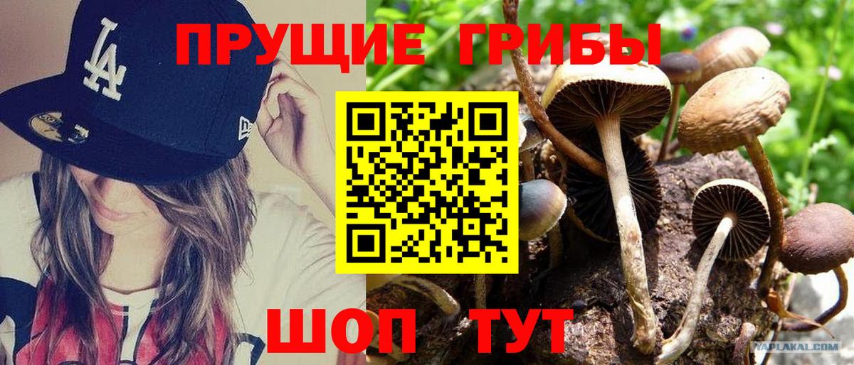 Псилоцибиновые грибы Psilocybe  Галлюциногенные грибы MAGIC MUSHROOMS  Вход с VPN  Кулебаки 