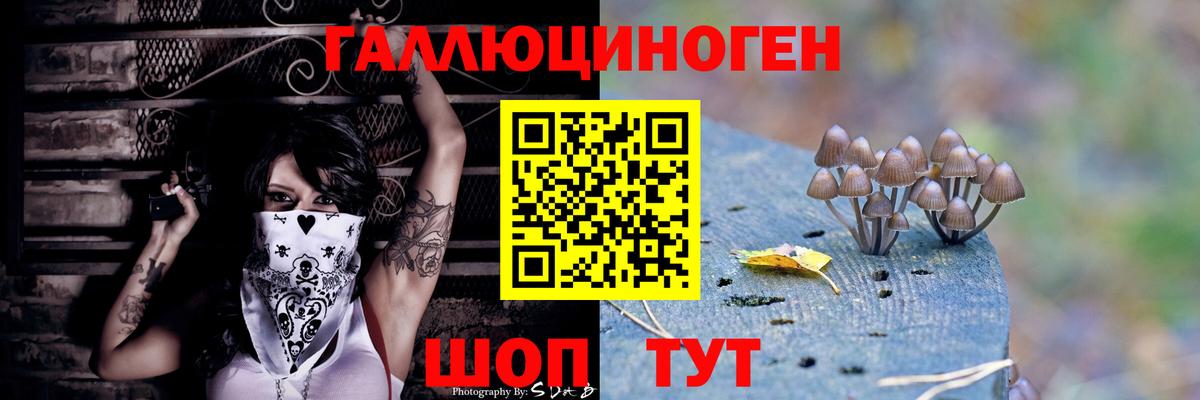 Галлюциногенные грибы GOLDEN TEACHER Кулебаки
