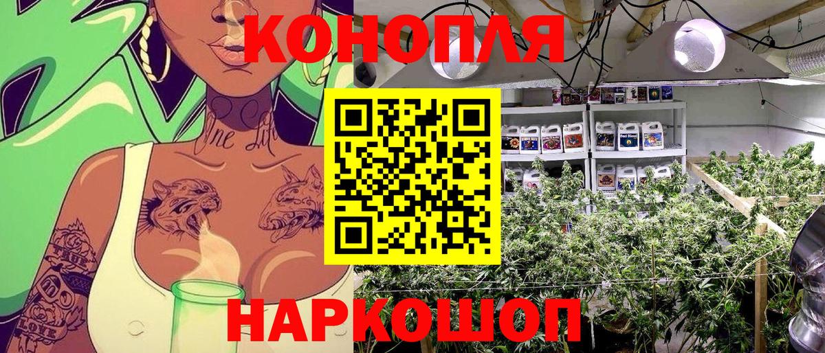 Конопля OG Kush Кулебаки